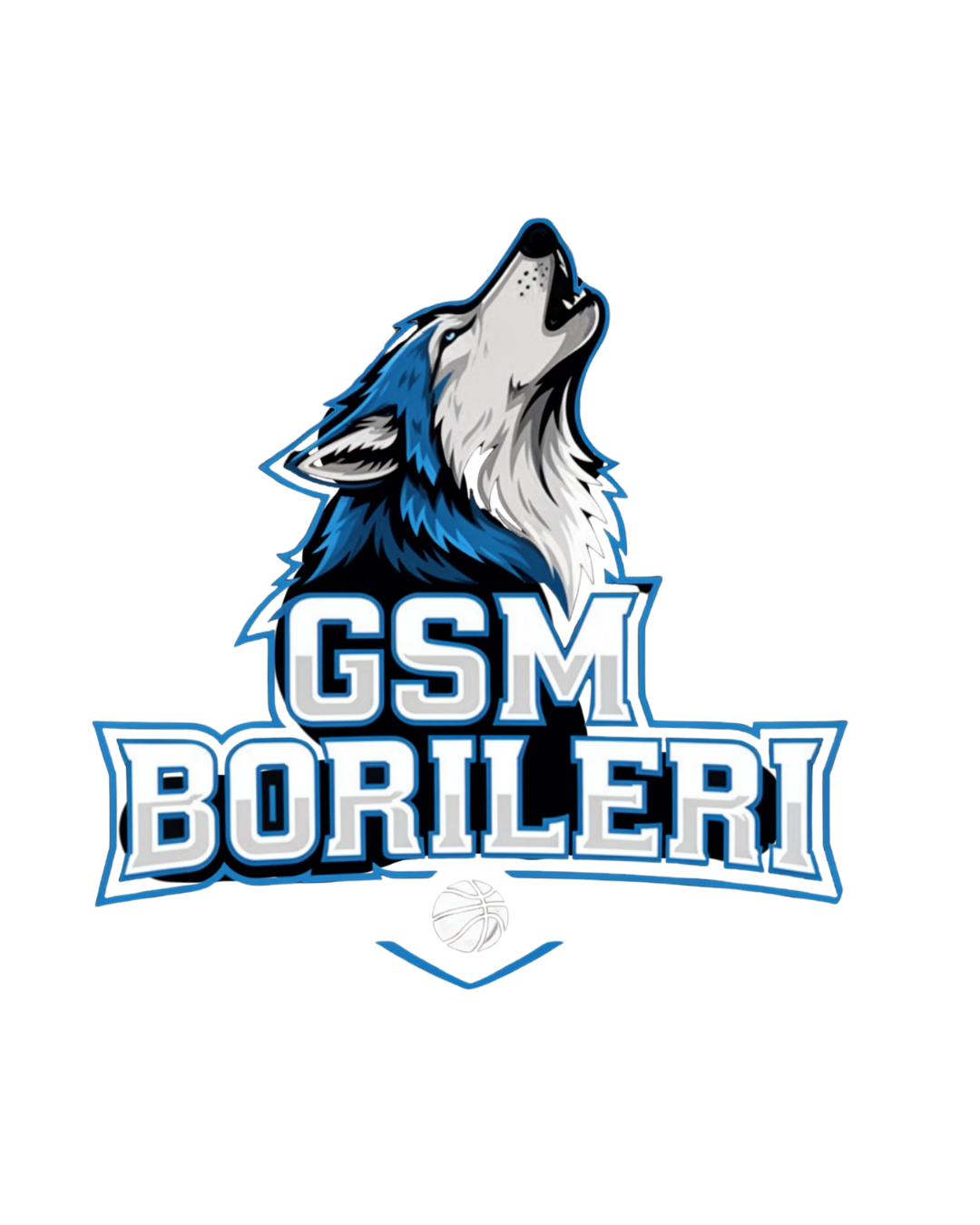 GSM BORILERI